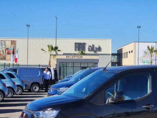 Fiat produce in Algeria