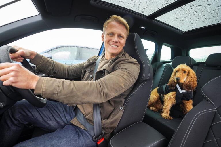 Un nuovo studio Skoda rivela che i cani sono meno ansiosi quando viaggiano in un'auto elettrica.